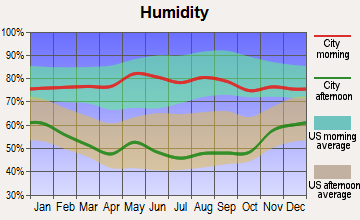 Scott City, Kansas humidity