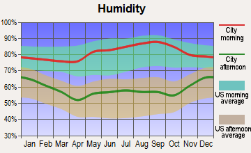 Brandenburg, Kentucky humidity