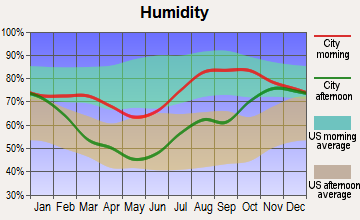 Galena, Alaska humidity