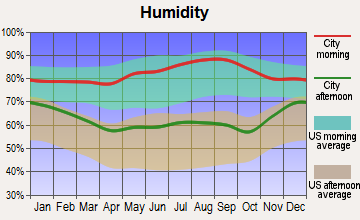 Livermore, Kentucky humidity