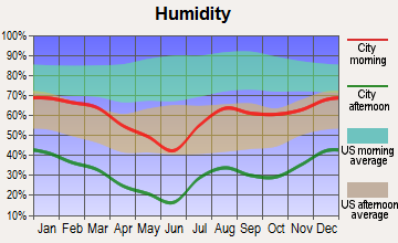 Peeples Valley, Arizona humidity