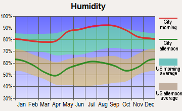 Cawood, Kentucky humidity