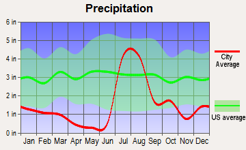 Rio Rico Southwest, Arizona average precipitation