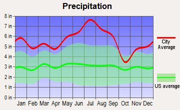 Gray, Louisiana average precipitation