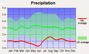 Shonto, Arizona average precipitation