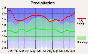 Washington, Louisiana average precipitation