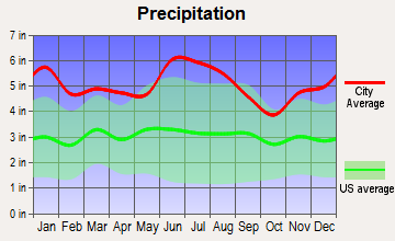 White Castle, Louisiana average precipitation