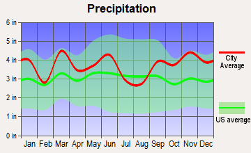 Albion, Maine average precipitation