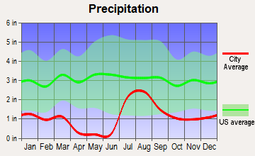 Tanque Verde, Arizona average precipitation