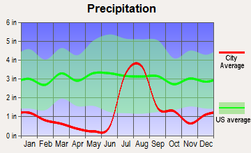 Whetstone, Arizona average precipitation