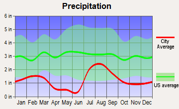 Williamson, Arizona average precipitation