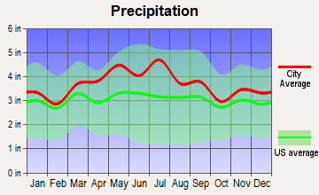 Accident, Maryland average precipitation