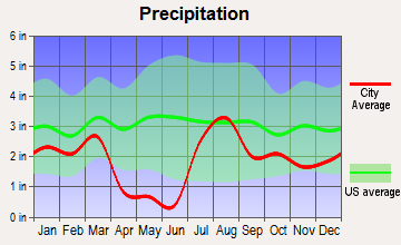 Young, Arizona average precipitation
