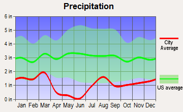 Apache Junction, Arizona average precipitation