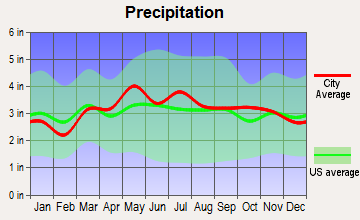 Hancock, Maryland average precipitation