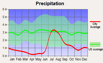 Douglas, Arizona average precipitation