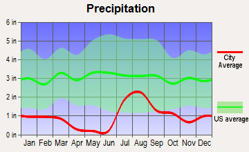 Drexel Heights, Arizona average precipitation