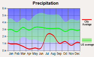 Duncan, Arizona average precipitation