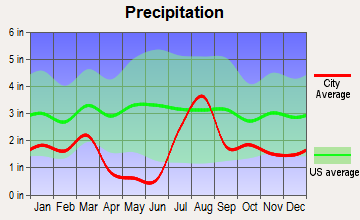 East Fork, Arizona average precipitation