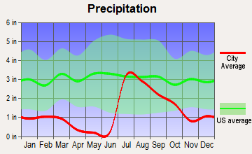 East Sahuarita, Arizona average precipitation