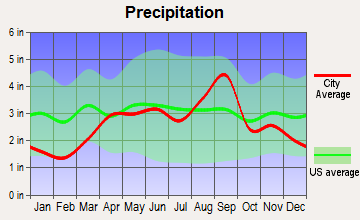 Gagetown, Michigan average precipitation