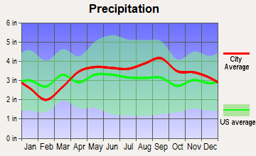 Dowagiac, Michigan average precipitation