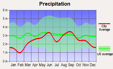 Beaverton, Michigan average precipitation