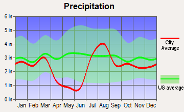 McNary, Arizona average precipitation
