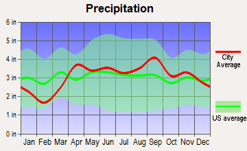 Shoreham, Michigan average precipitation