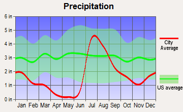 Naco, Arizona average precipitation