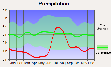 Elfrida, Arizona average precipitation