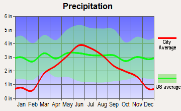 Cottonwood, Minnesota average precipitation