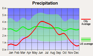 Cyrus, Minnesota average precipitation