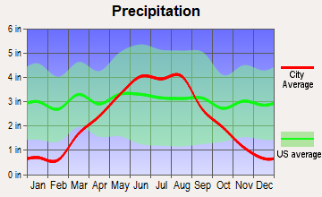 Delano, Minnesota average precipitation