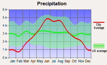 Dellwood, Minnesota average precipitation