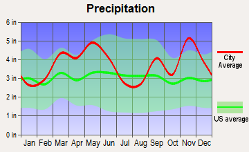 Flippin, Arkansas average precipitation