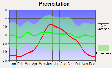 Gonvick, Minnesota average precipitation