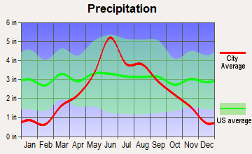 Kandiyohi, Minnesota average precipitation