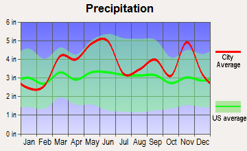 Green Forest, Arkansas average precipitation