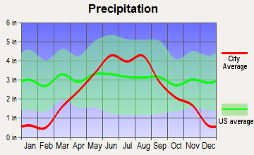 Plato, Minnesota average precipitation