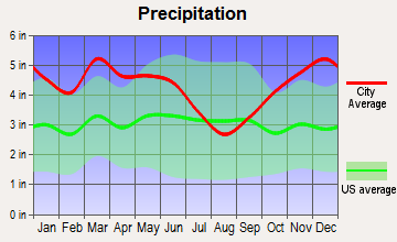 Hampton, Arkansas average precipitation