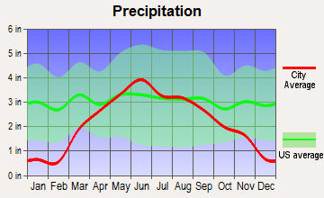 The Lakes, Minnesota average precipitation