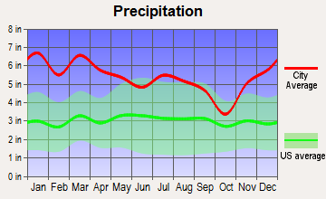 Magnolia, Mississippi average precipitation