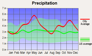 Huntington, Arkansas average precipitation