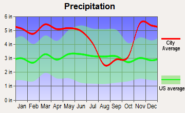 Clarksdale, Mississippi average precipitation