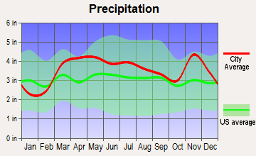 Olympian Village, Missouri average precipitation