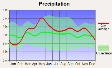Owensville, Missouri average precipitation