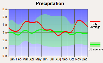 Qulin, Missouri average precipitation