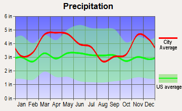 Risco, Missouri average precipitation