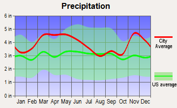 Sikeston, Missouri average precipitation